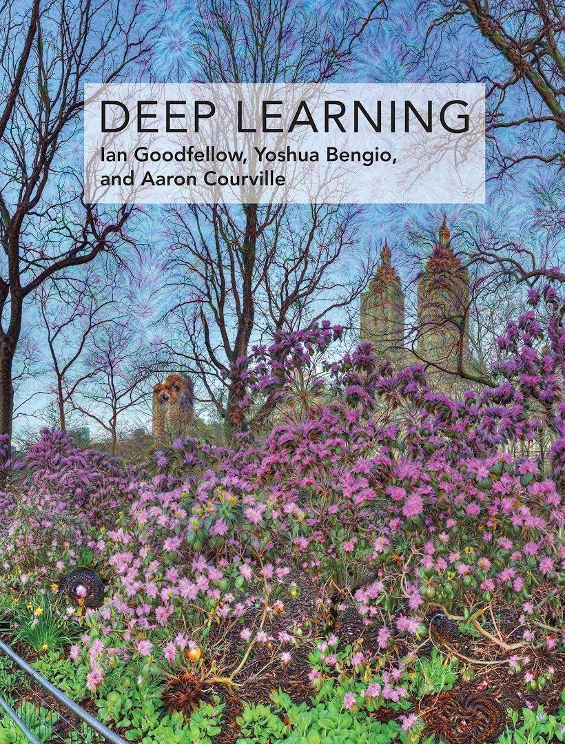 DeepLearning Ian GoodFellow Rental